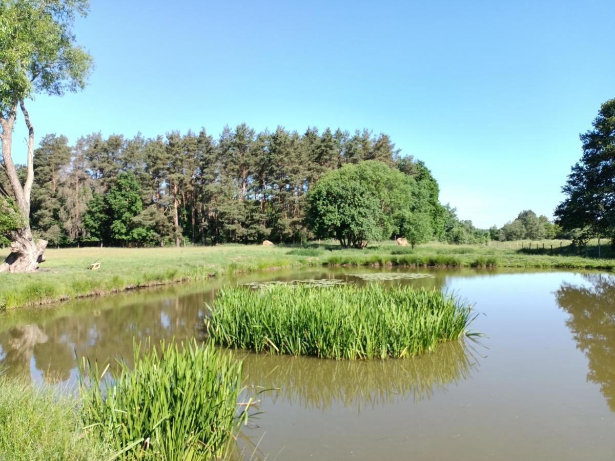 Villa Smocze Ranczo 2 Ośno Lubuskie Exterior foto