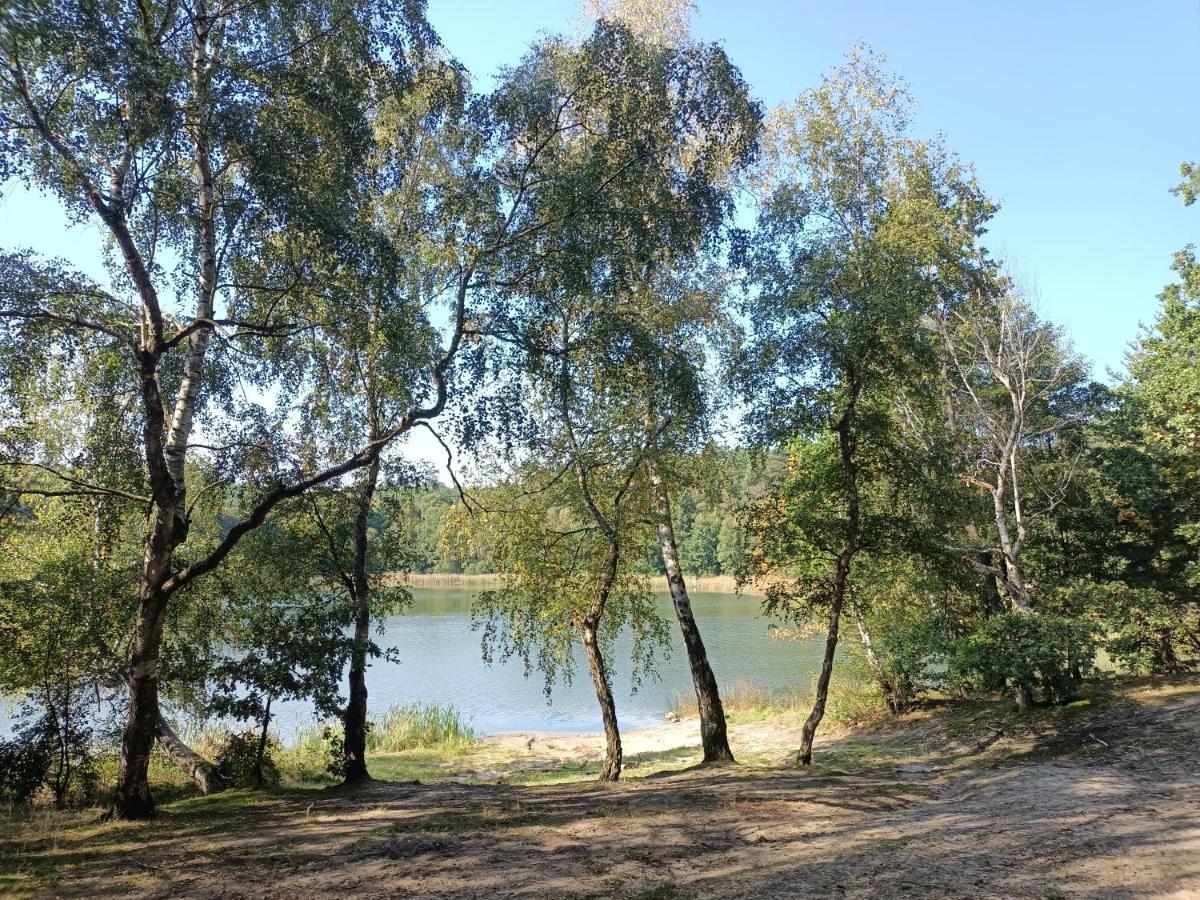 Villa Smocze Ranczo 2 Ośno Lubuskie Exterior foto