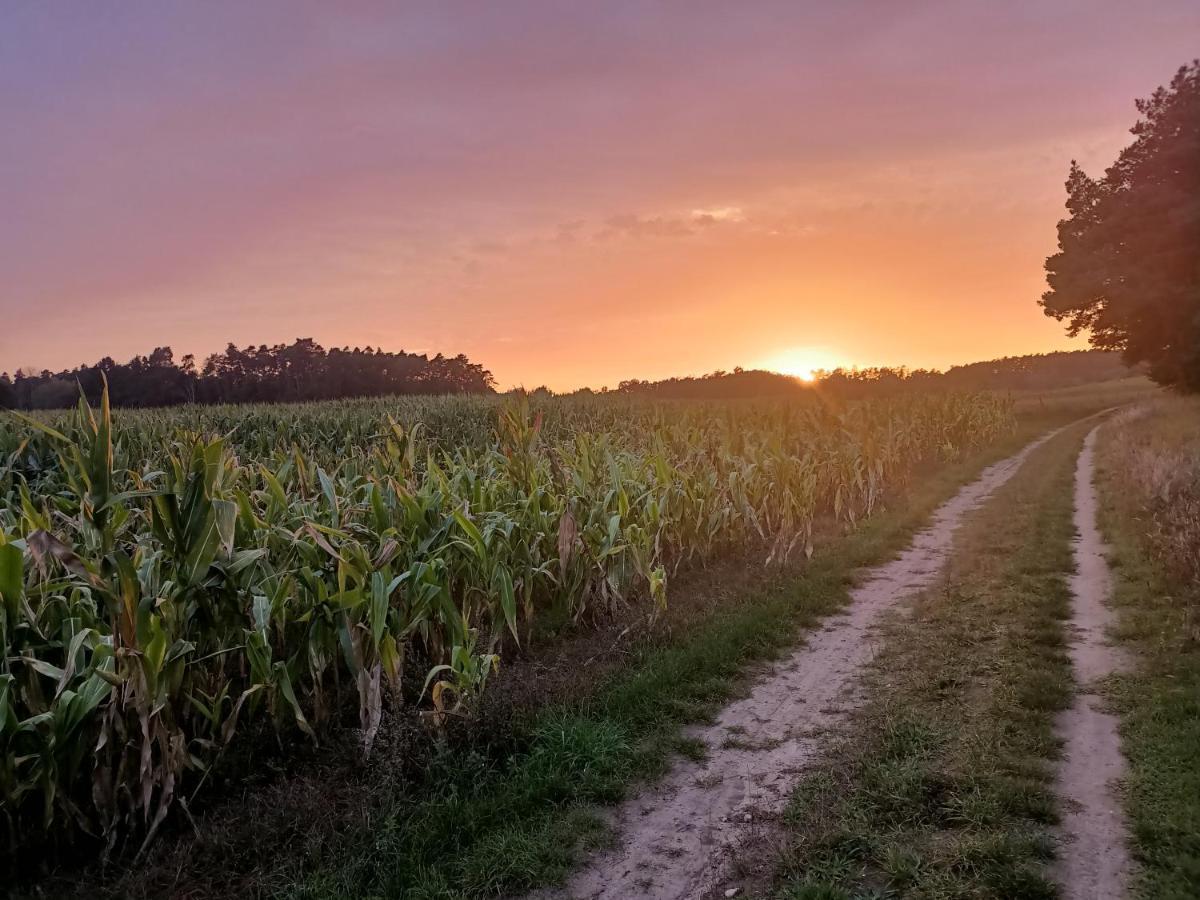Villa Smocze Ranczo 2 Ośno Lubuskie Exterior foto