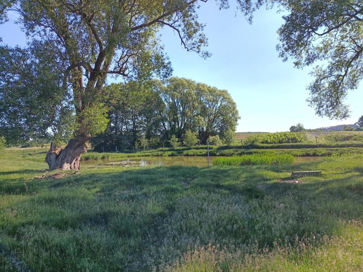 Villa Smocze Ranczo 2 Ośno Lubuskie Exterior foto