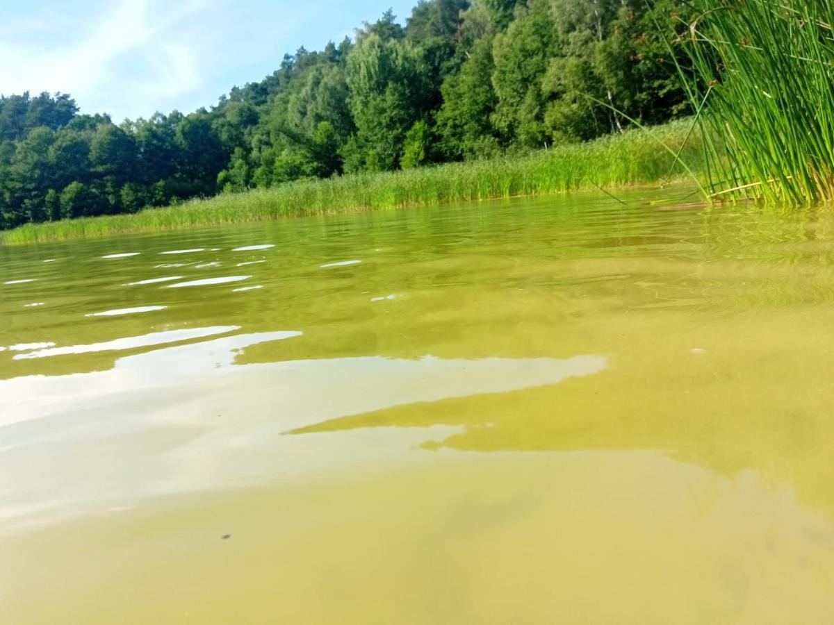 Villa Smocze Ranczo 2 Ośno Lubuskie Exterior foto
