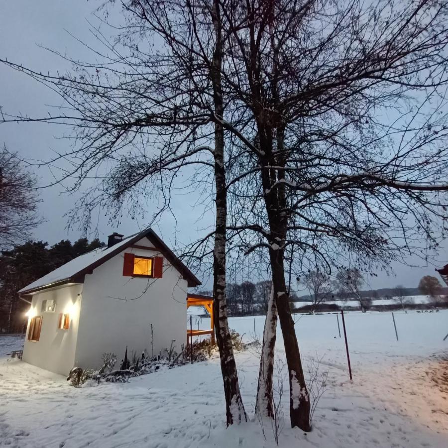 Villa Smocze Ranczo 2 Ośno Lubuskie Exterior foto