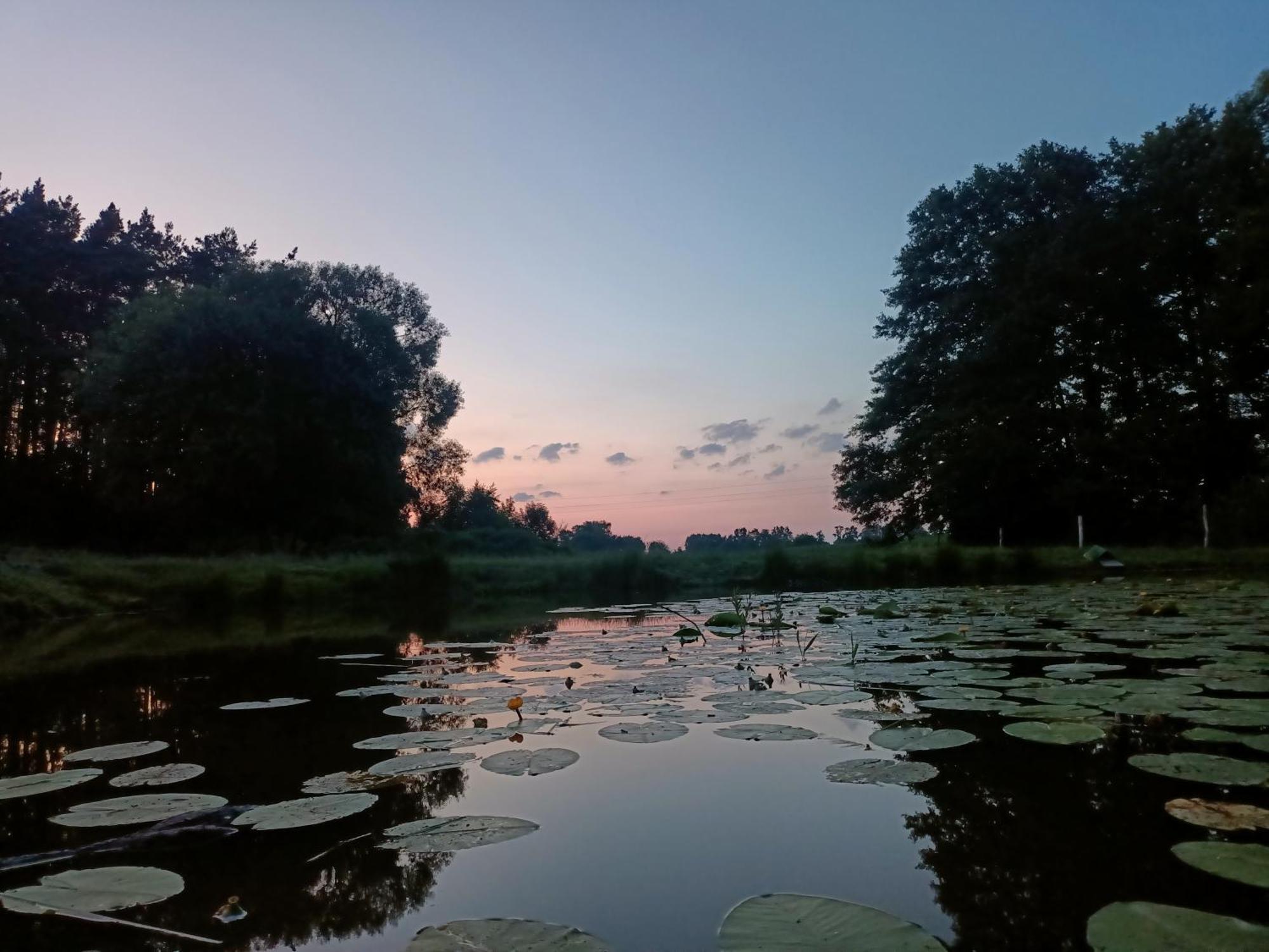 Villa Smocze Ranczo 2 Ośno Lubuskie Exterior foto